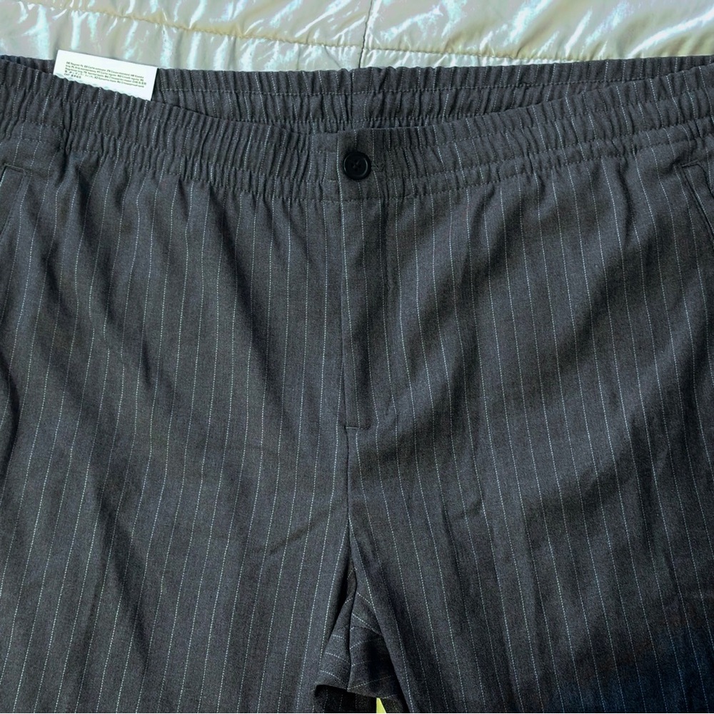 H&M Women’s Grey Pinstripe Pants Plus Size
